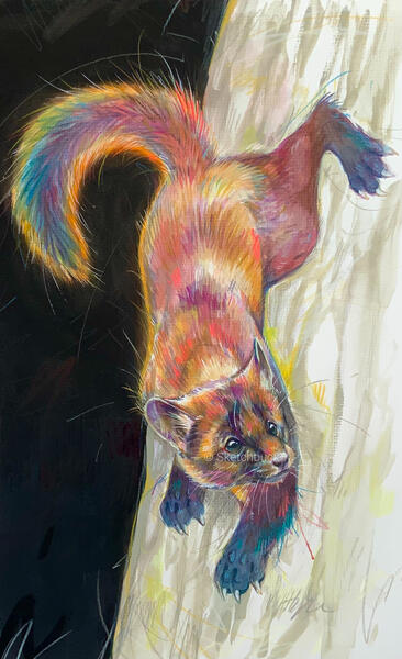 A pine marten scuttles down a tree trunk. The animal is painted in an expressive watercolour style, with bright pops of colour throughout their fur. The background is black, with the tree being depicted in stylised grey.