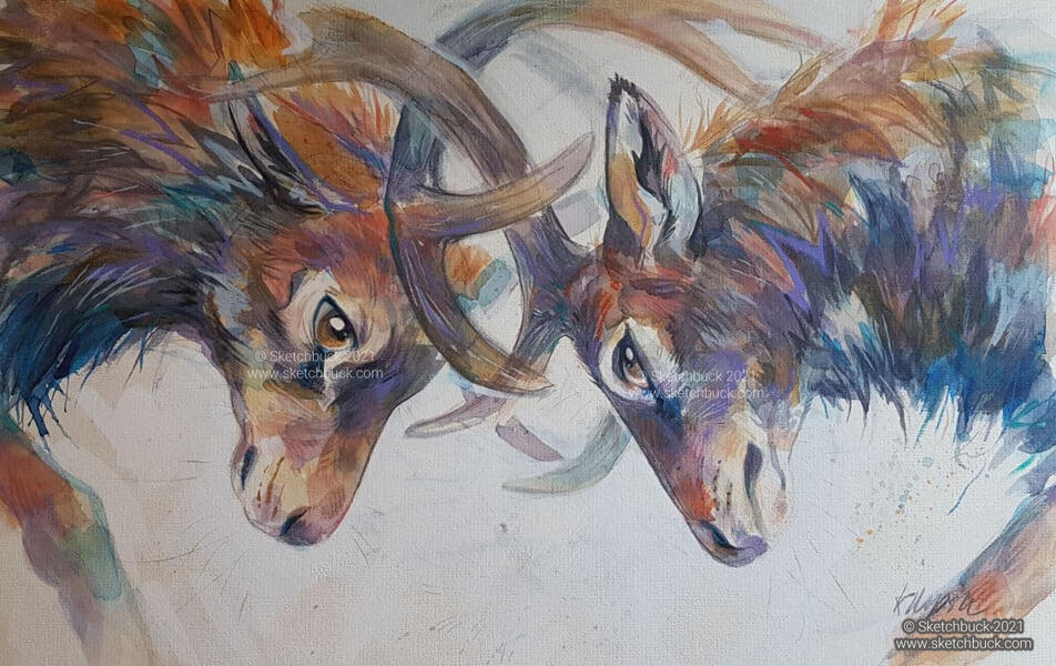 A watercolour of two red stags, their antlers are locked together. Alongside their natural colours are blues, purples and oranges.