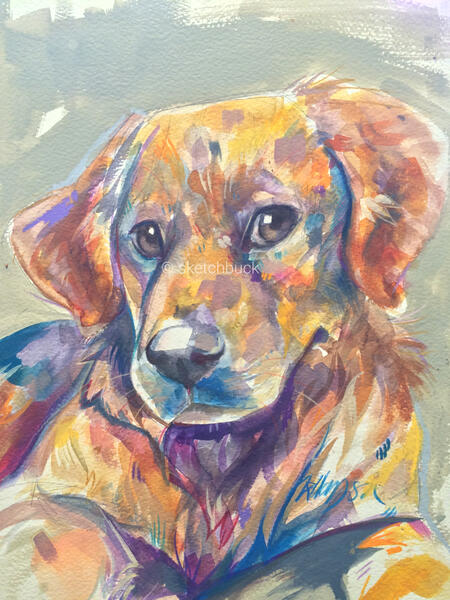 A bright watercolour portrait of a young golden retriever. His head is turned to the left but he looks directly at the viewer. Grey background.